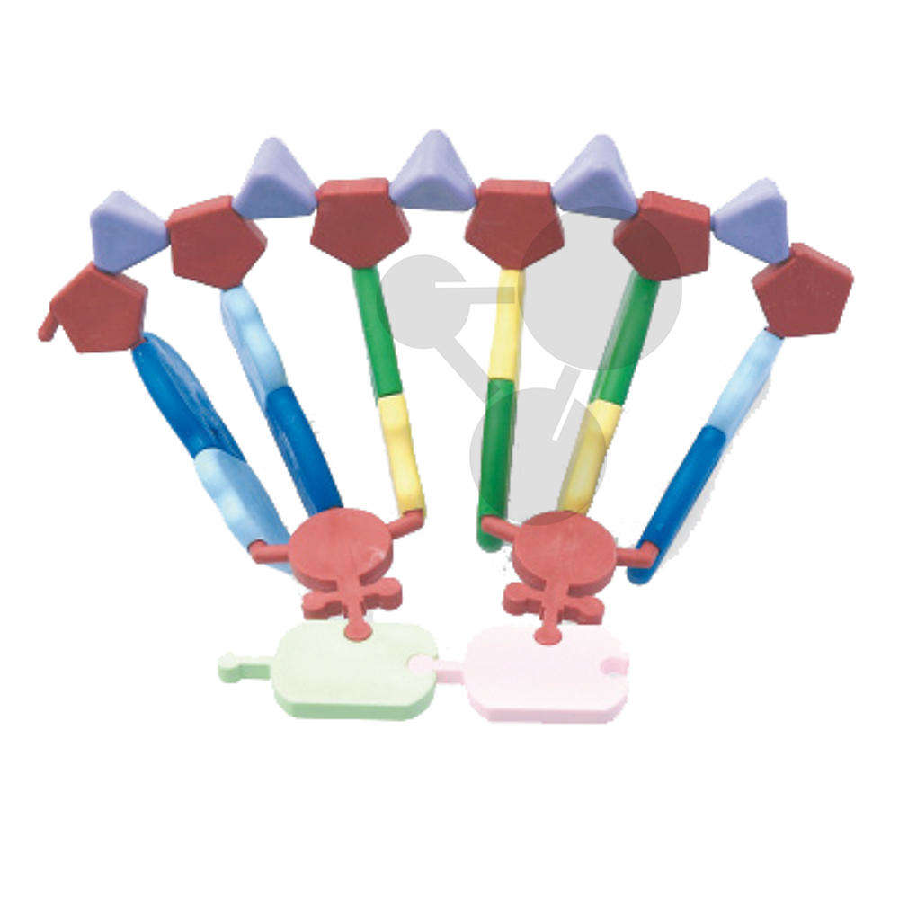 Model RNA, Molymod®